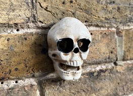 skull bottle opener